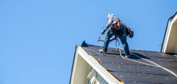 Best Roof Gutter Cleaning  in Conneaut, OH